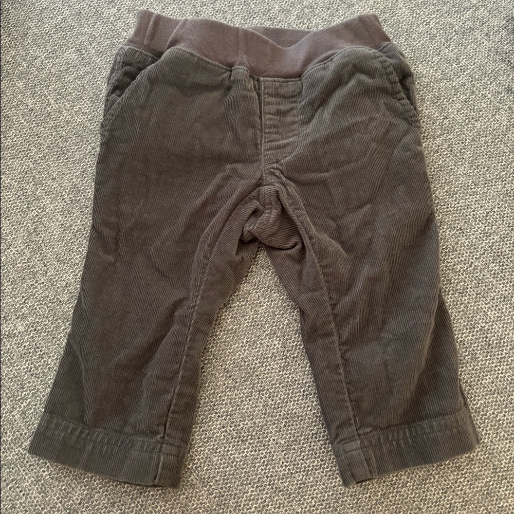 BRAND NEW Tea Collection - Corduroy Pants
